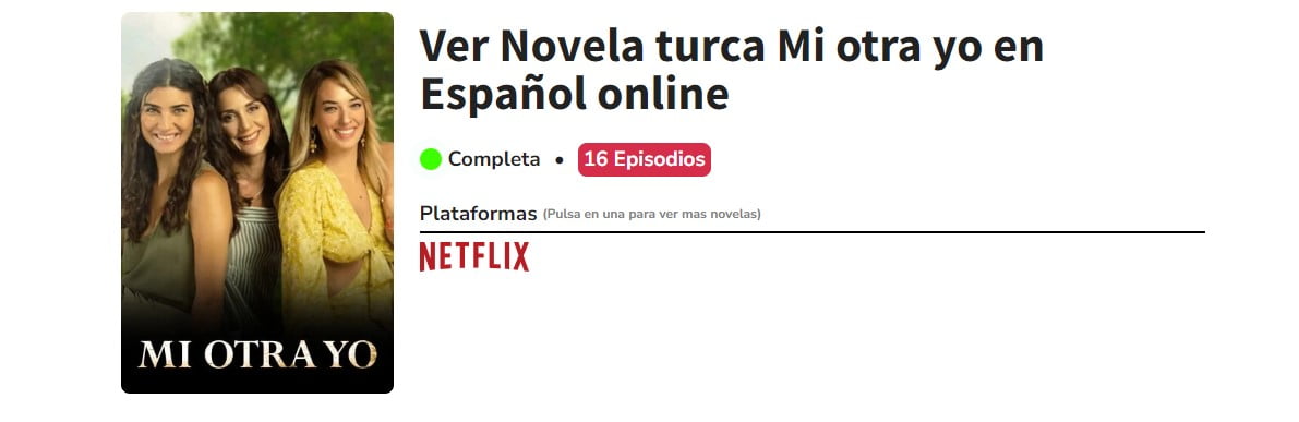 series turcas netflix gratis completas